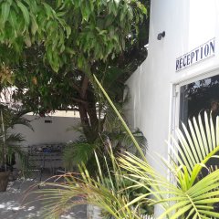 Palmita Hotel Hostel in Oranjestad, Aruba from 325$, photos, reviews - zenhotels.com photo 8