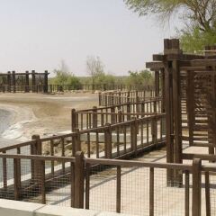 Отель One to One Hotel & Resort - Ain Al Faida ОАЭ, Эль-Айн - отзывы, цены и фото номеров - забронировать отель One to One Hotel & Resort - Ain Al Faida онлайн помещение для мероприятий