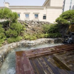 Отель Prima Hotel Южная Корея, Сеул - отзывы, цены и фото номеров - забронировать отель Prima Hotel онлайн бассейн фото 2