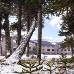 Отель Corralco Mountain & Ski Resort фото 8