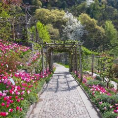 Отель Der Waldhof Лана фото 9