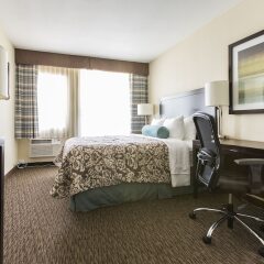 Отель Royal Palace Westwood США, Лос-Анджелес - отзывы, цены и фото номеров - забронировать отель Royal Palace Westwood онлайн фото 8