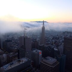 Отель Loews Regency San Francisco фото 3