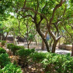 Отель Certe Notti Pompei Италия, Помпеи - отзывы, цены и фото номеров - забронировать отель Certe Notti Pompei онлайн фото 6