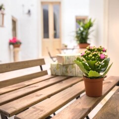 Отель B&B Il Borgo Италия, Поджардо - отзывы, цены и фото номеров - забронировать отель B&B Il Borgo онлайн развлечения