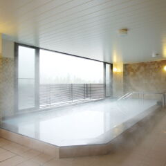 Tateyama Kokusai Hotel Тояма бассейн