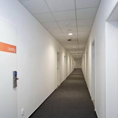 Hostel Ananas интерьер отеля фото 2