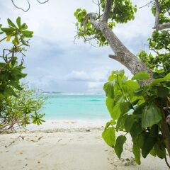 Отель Sea Retreats Thulusdhoo Остров Гасфинолу пляж фото 2