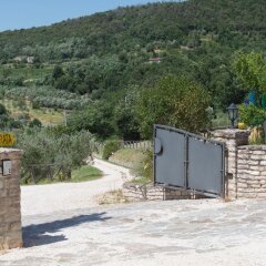 Отель Agriturismo Podere Villa Alessi Италия, Региональный парк Colli Euganei - отзывы, цены и фото номеров - забронировать отель Agriturismo Podere Villa Alessi онлайн фото 3