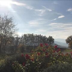 Отель Agriturismo Il Filare Невьяно-дельи-Ардуини фото 5