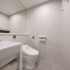 Nine Tree Hotel Dongdaemun Сеул ванная