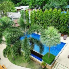 Отель Paddys Palms Resort с домашними животными