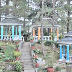 Отель Elizabeth - Baguio Филиппины, Багуйо - отзывы, цены и фото номеров - забронировать отель Elizabeth - Baguio онлайн фото 12