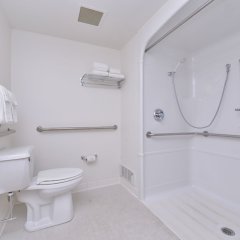 Quality Inn Near University Park in State College, United States of America from 118$, photos, reviews - zenhotels.com bathroom
