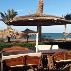 Отель Palma Resort фото 4
