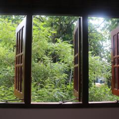 Отель Jungle Guest House Шри-Ланка, Галле - отзывы, цены и фото номеров - забронировать отель Jungle Guest House онлайн комната для гостей