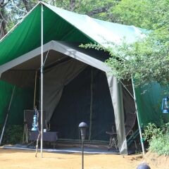 Отель Mahoora Tented Safari Camp - Kumana Шри-Ланка, Яла - отзывы, цены и фото номеров - забронировать отель Mahoora Tented Safari Camp - Kumana онлайн детские мероприятия