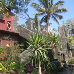 Отель El Nido At Hacienda Escondida - Bed And Breakfast