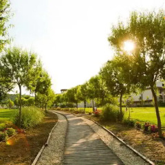 Отель Green Life Sozopol - Half Board Созополь