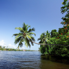 Отель Centara Ceysands Resort & Spa Sri Lanka Шри-Ланка, Бентота - 1 отзыв об отеле, цены и фото номеров - забронировать отель Centara Ceysands Resort & Spa Sri Lanka онлайн приотельная территория фото 2