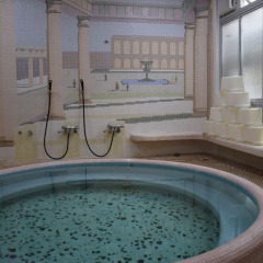 Отель Homeikan Morikawa Annex с домашними животными