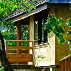 Отель Keikahanui Nuku Hiva Pearl Lodge Французская Полинезия, Нуку-Хива - отзывы, цены и фото номеров - забронировать отель Keikahanui Nuku Hiva Pearl Lodge онлайн фото 9