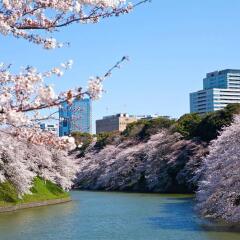 Отель The Westin Tokyo Япония, Токио - отзывы, цены и фото номеров - забронировать отель The Westin Tokyo онлайн приотельная территория