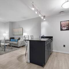Отель Bluebird Suites DC Financial District удобства в номере