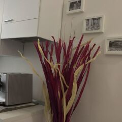 Отель Bed and Breakfast Cialdini 13 в номере