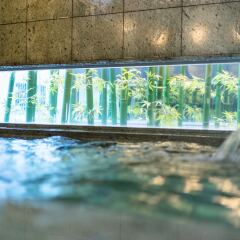 Отель Super Hotel Utsunomiya Япония, Уцуномия - отзывы, цены и фото номеров - забронировать отель Super Hotel Utsunomiya онлайн спа фото 2