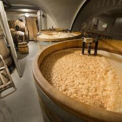 Отель U Medvidku-Brewery Hotel Чехия, Прага - отзывы, цены и фото номеров - забронировать отель U Medvidku-Brewery Hotel онлайн спа