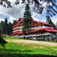 Отель Club Hotel Yanakiev Болгария, Боровец - отзывы, цены и фото номеров - забронировать отель Club Hotel Yanakiev онлайн фото 2