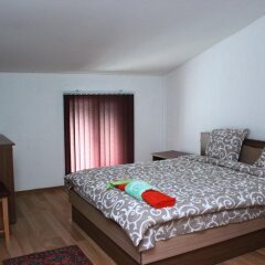 Отель Family Hotel Aleks Болгария, Ардино - отзывы, цены и фото номеров - забронировать отель Family Hotel Aleks онлайн фото 7