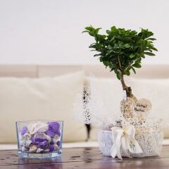 Отель Bellini Италия, Риччоне - отзывы, цены и фото номеров - забронировать отель Bellini онлайн помещение для мероприятий