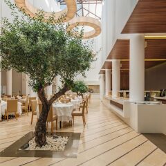 Отель Lindos Royal-All Inclusive Греция, Линдос - 2 отзыва об отеле, цены и фото номеров - забронировать отель Lindos Royal-All Inclusive онлайн фото 14