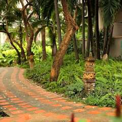 Отель Diana Garden Resort & Lodge фото 7