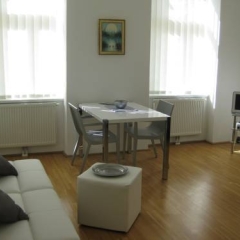 Отель Puzzlehotel Appartement Schönbrunn Австрия, Вена - отзывы, цены и фото номеров - забронировать отель Puzzlehotel Appartement Schönbrunn онлайн комната для гостей