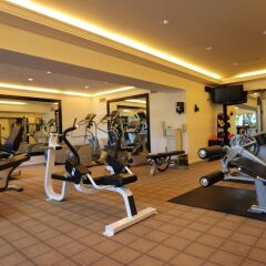 Beverly Hills Plaza Hotel фитнесс-зал