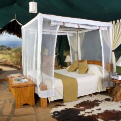 Kibo Safari Camp in Amboseli, Kenya from 424$, photos, reviews - zenhotels.com guestroom