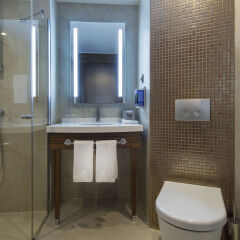 Отель Hampton By Hilton Gaziantep City Centre ванная