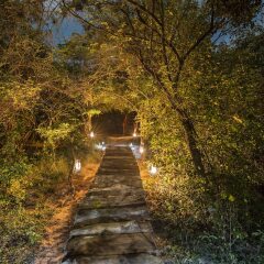 Отель Leopard Nest Luxury Campsite фото 6