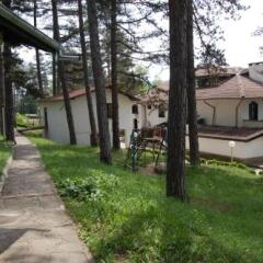 Отель Complex Brashlyan Трявна