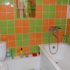 Гостиница In The Centre Apartment в Архангельске 1 отзыв об отеле, цены и фото номеров - забронировать гостиницу In The Centre Apartment онлайн Архангельск ванная