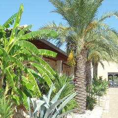 Hotel Masseria Resort Le Pajare Пресичче фото 2