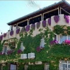 Bella Hotel Турция, Сельчук - отзывы, цены и фото номеров - забронировать отель Bella Hotel онлайн помещение для мероприятий