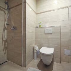 Отель Residence Dobrovskeho 30 Чехия, Прага - отзывы, цены и фото номеров - забронировать отель Residence Dobrovskeho 30 онлайн ванная