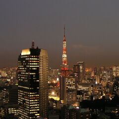 Отель Ana Intercontinental Tokyo Япония, Токио - 1 отзыв об отеле, цены и фото номеров - забронировать отель Ana Intercontinental Tokyo онлайн городской автобус