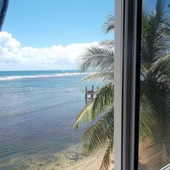 Calibishie Sandbar in Massacre, Dominica from 115$, photos, reviews - zenhotels.com beach photo 2