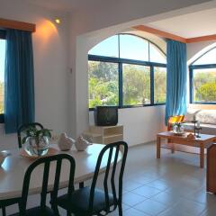 Отель Апарт-Отель Govino Bay Греция, Корфу - 1 отзыв об отеле, цены и фото номеров - забронировать отель Апарт-Отель Govino Bay онлайн комната для гостей фото 2