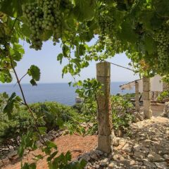 Отель Rural Ocean Front Experience Гальяно дель Капо фото 2